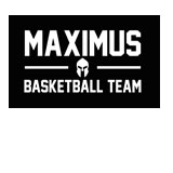 team logotype